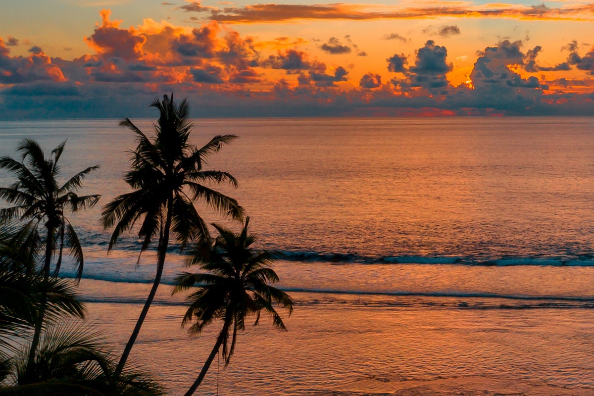 Palm trees beach sunset copy